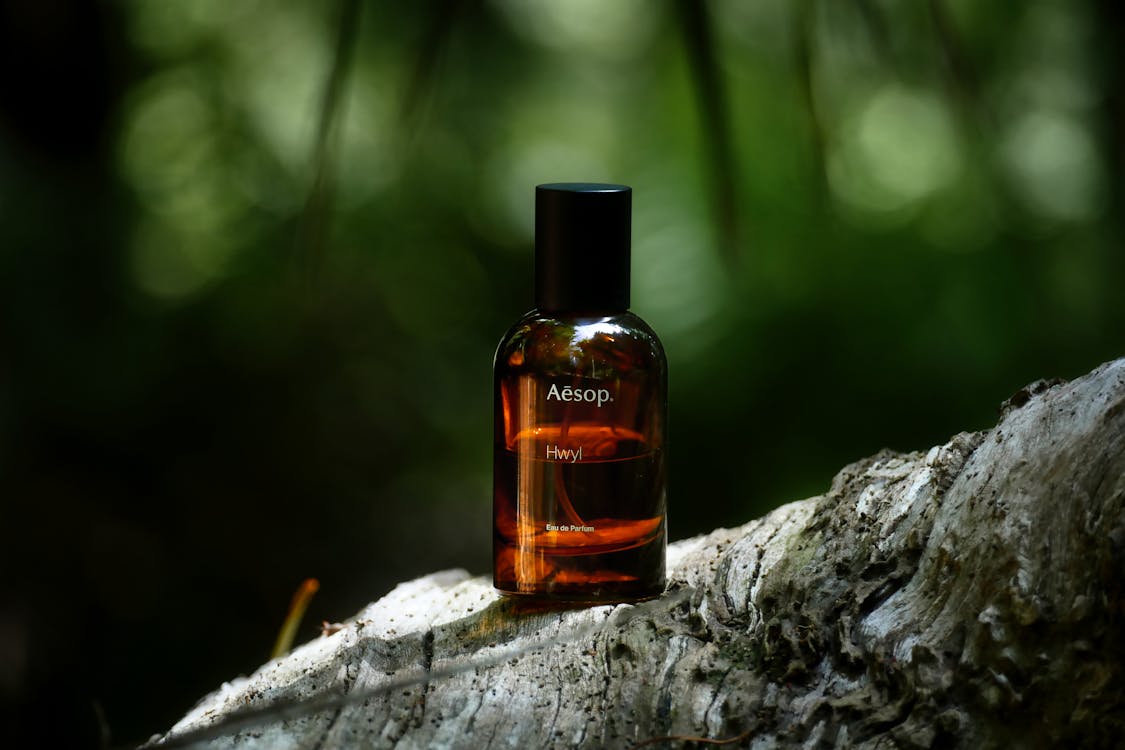 Aesop Hwyl