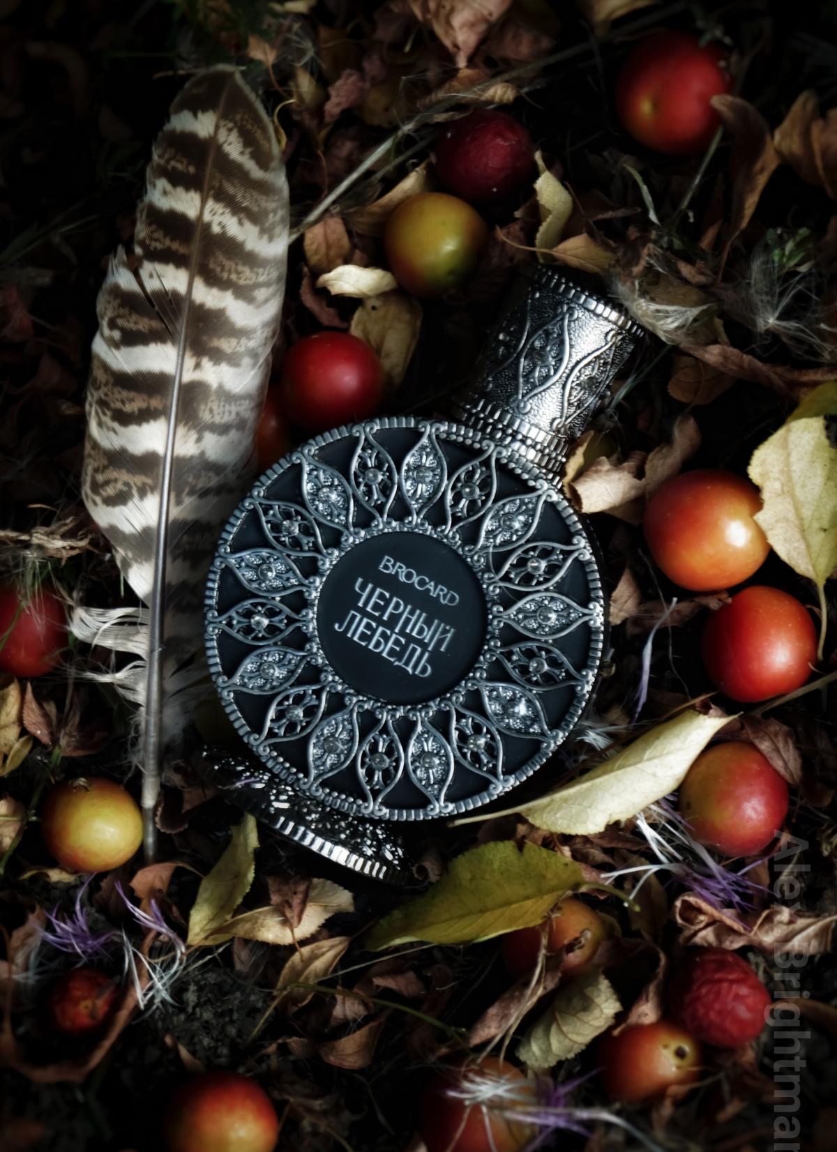 Brocard Black Swan Cernyj Lebed