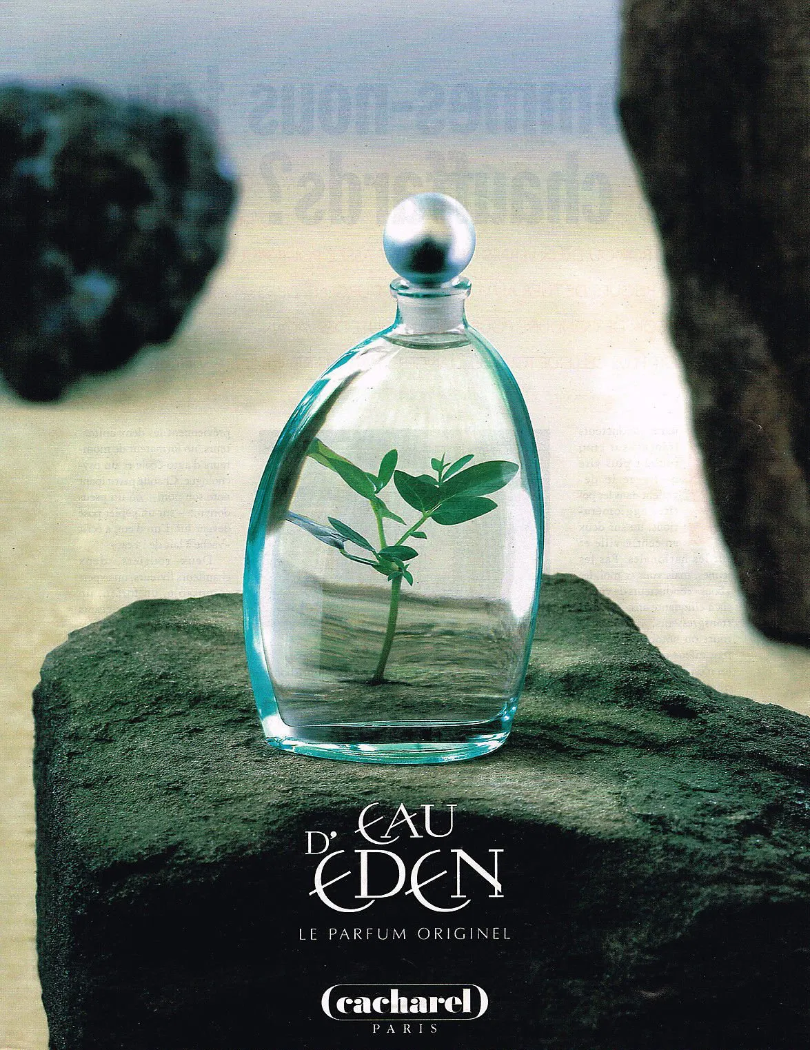 Cacharel Eau D Eden