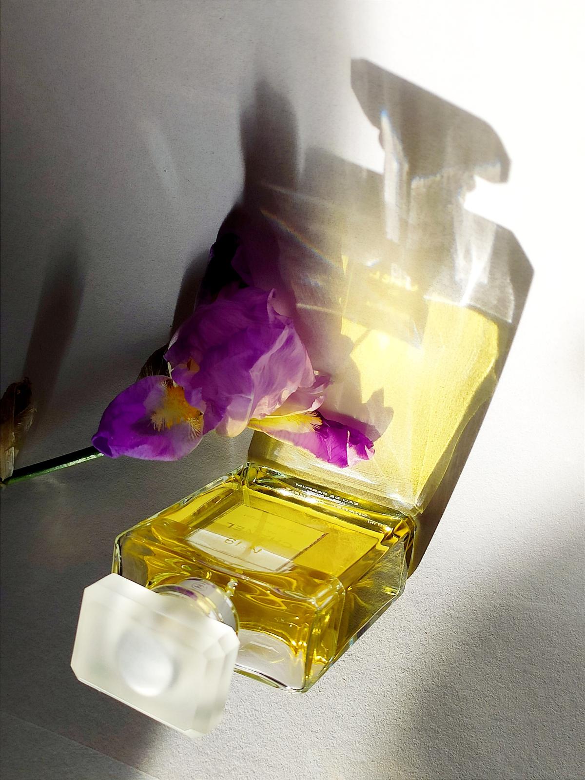 Chanel Chanel No 19 Poudre