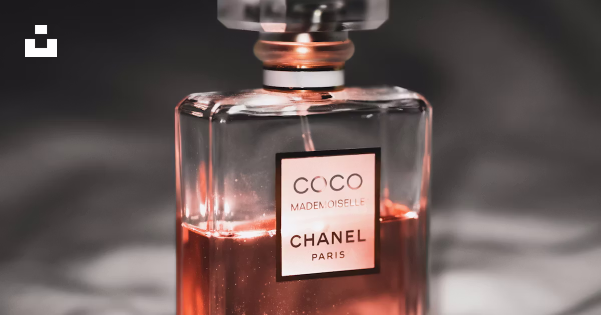 Chanel Paris Paris