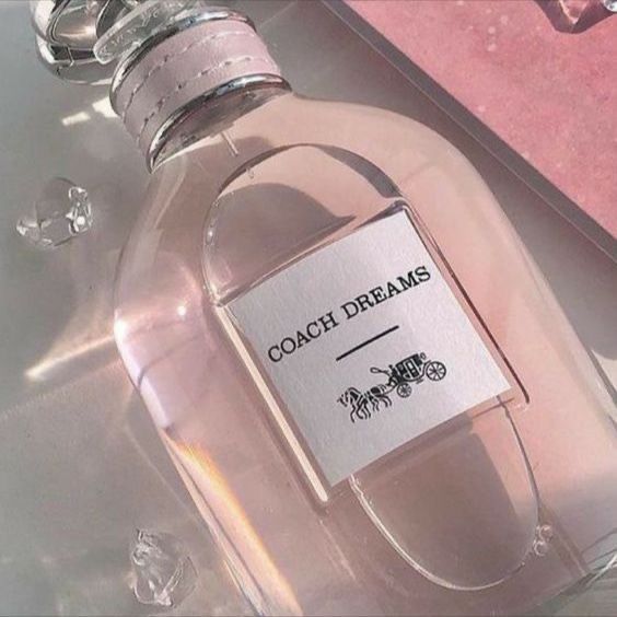 Coach Coach Dreams