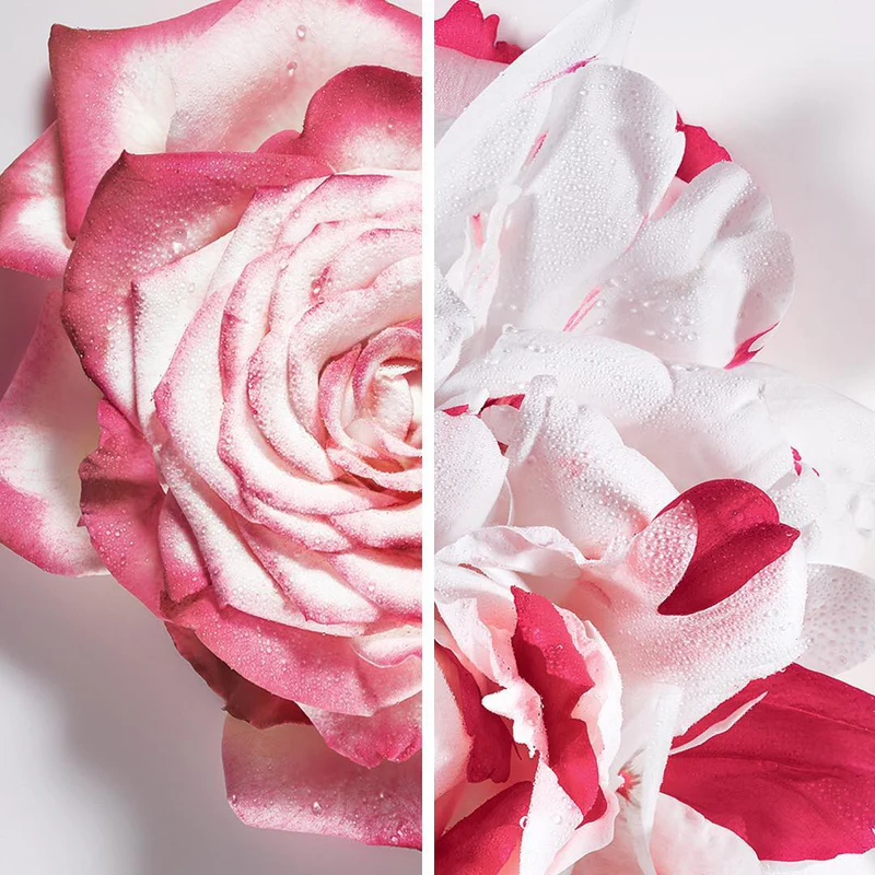 Dior Miss Dior Absolutely Blooming