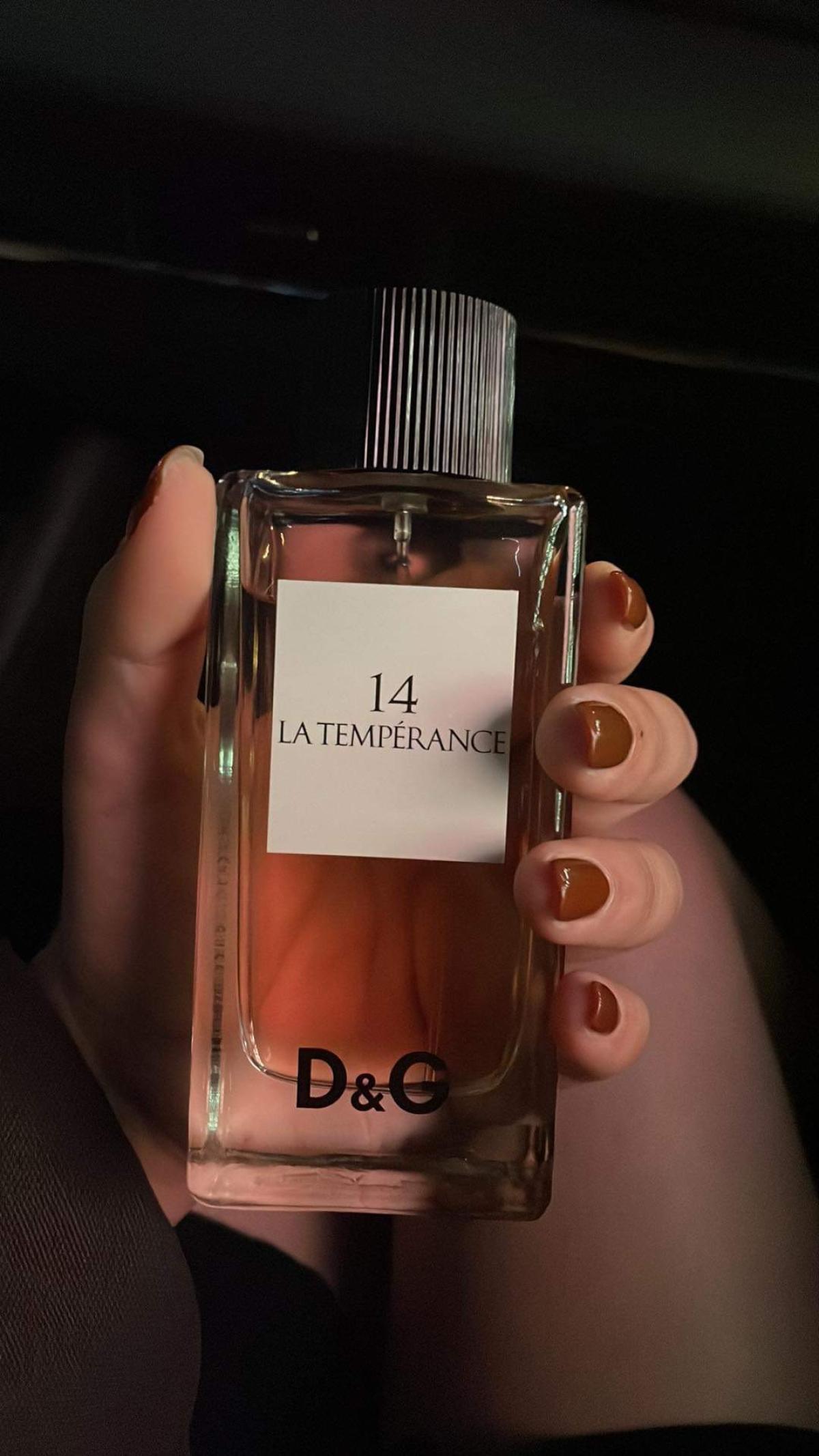 Dolce Gabbana D G Anthology La Temperance 14
