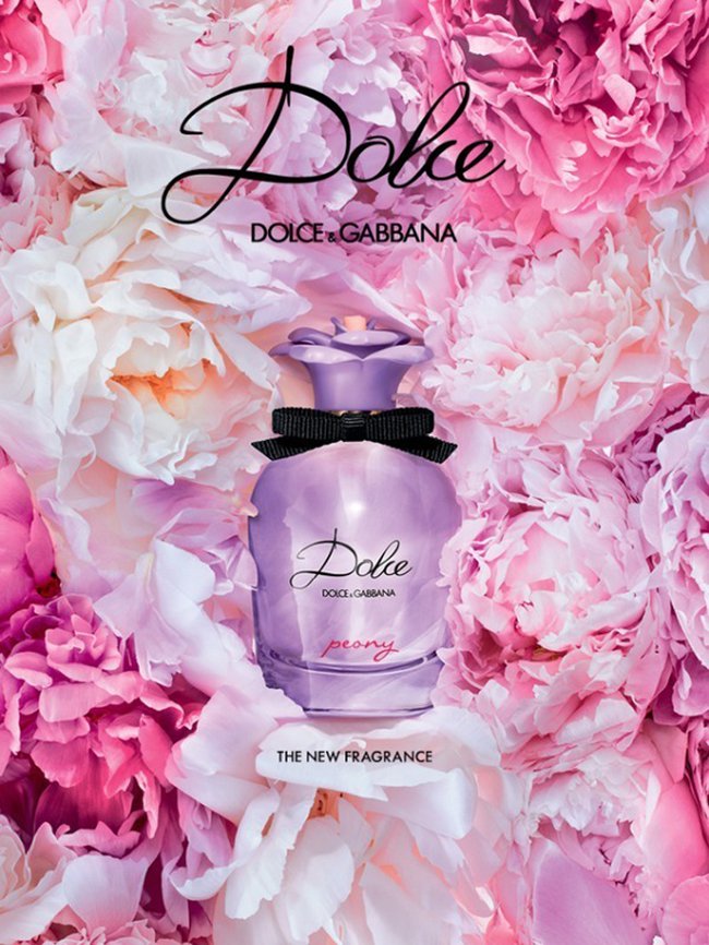 Dolce Gabbana Dolce Peony