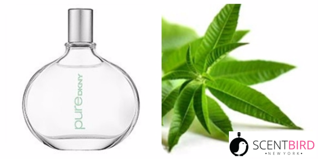 Donna Karan Pure Dkny Verbena