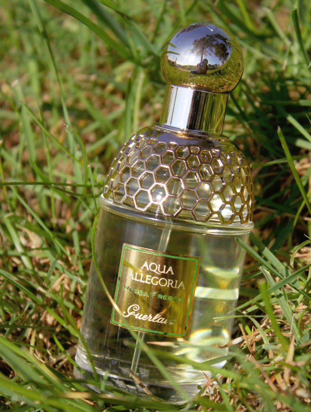 Guerlain Aqua Allegoria Herba Fresca perfume