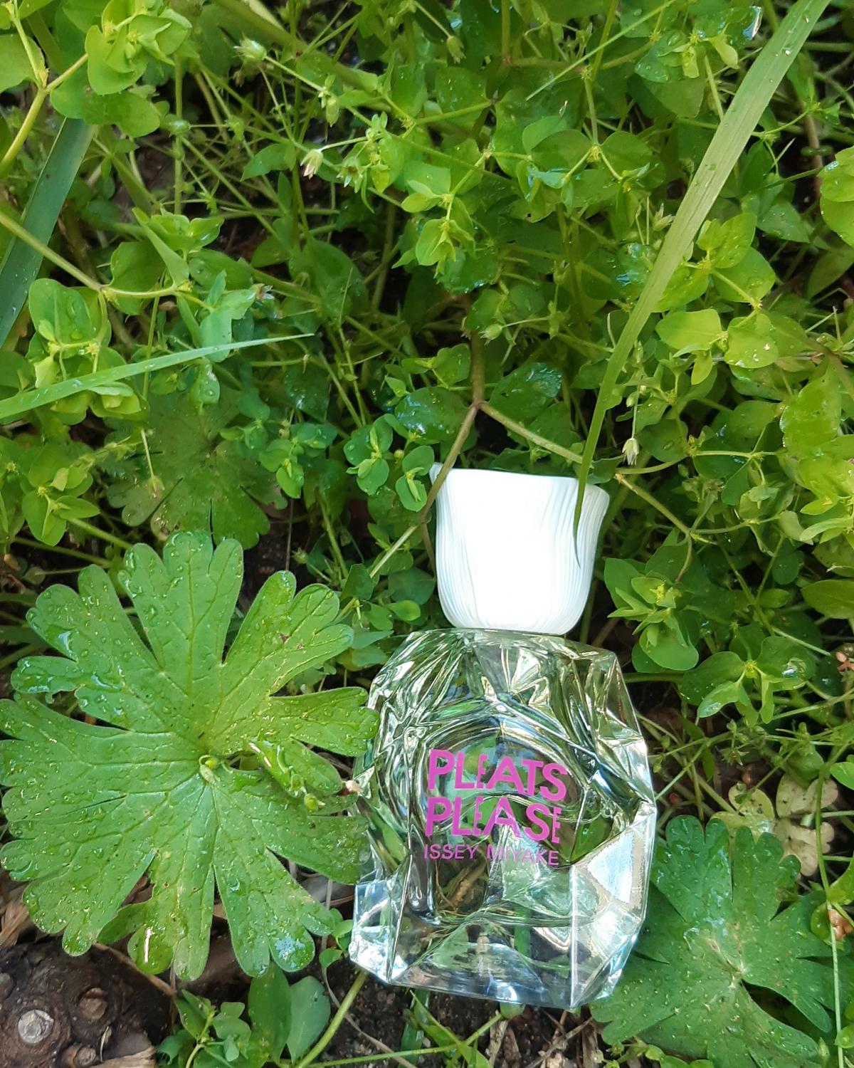 Issey Miyake Pleats Please L Eau