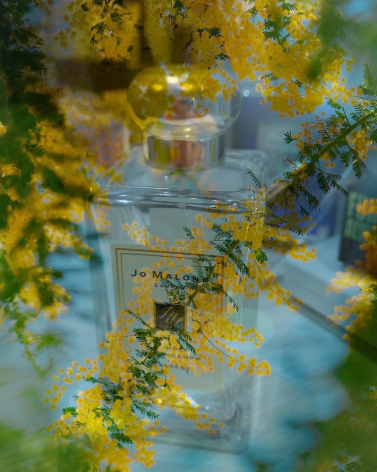 Jo Malone London Mimosa Cardamom