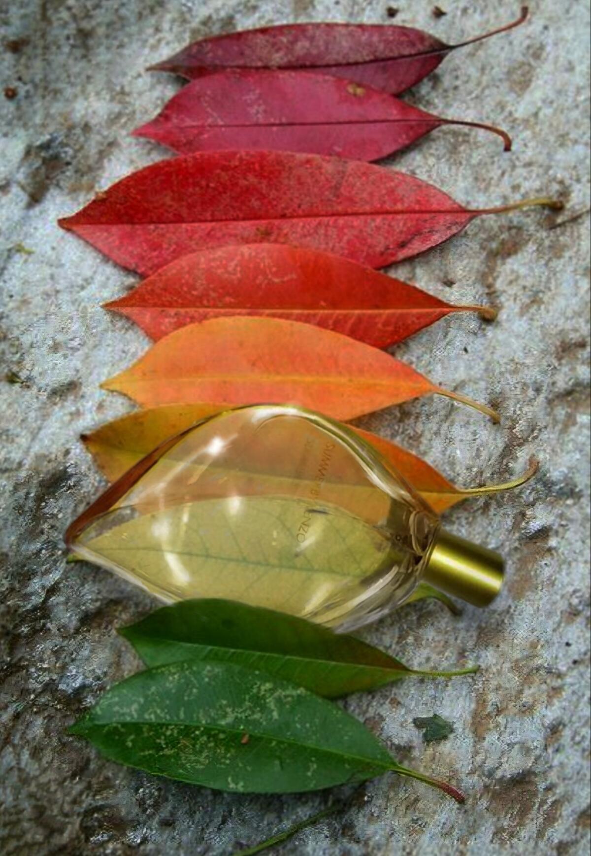 Kenzo Parfum D Ete 2002