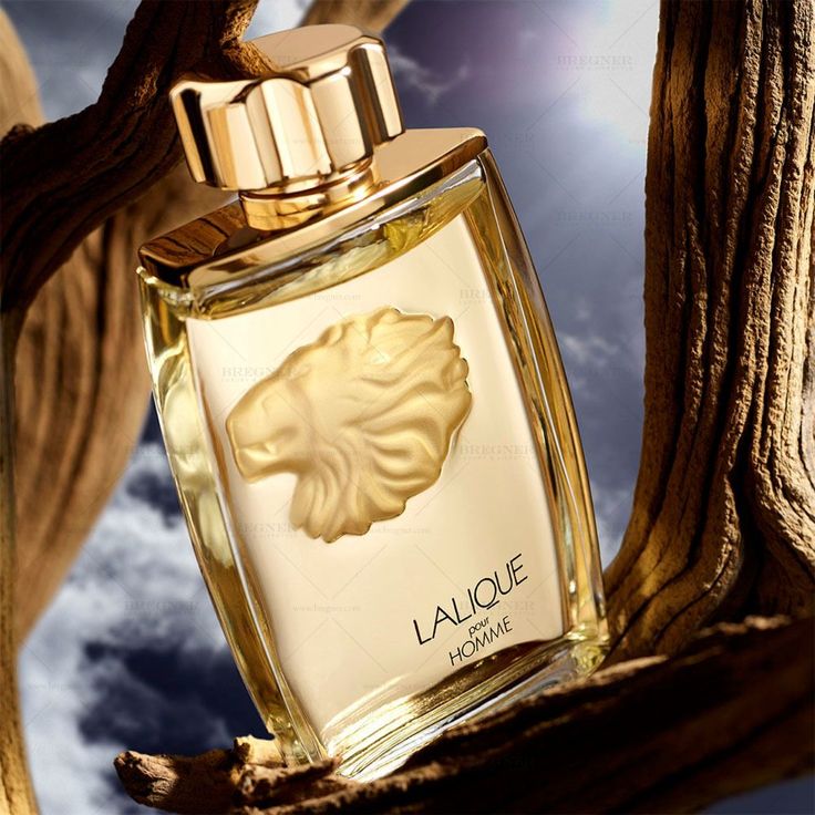Lalique Lalique Pour Homme