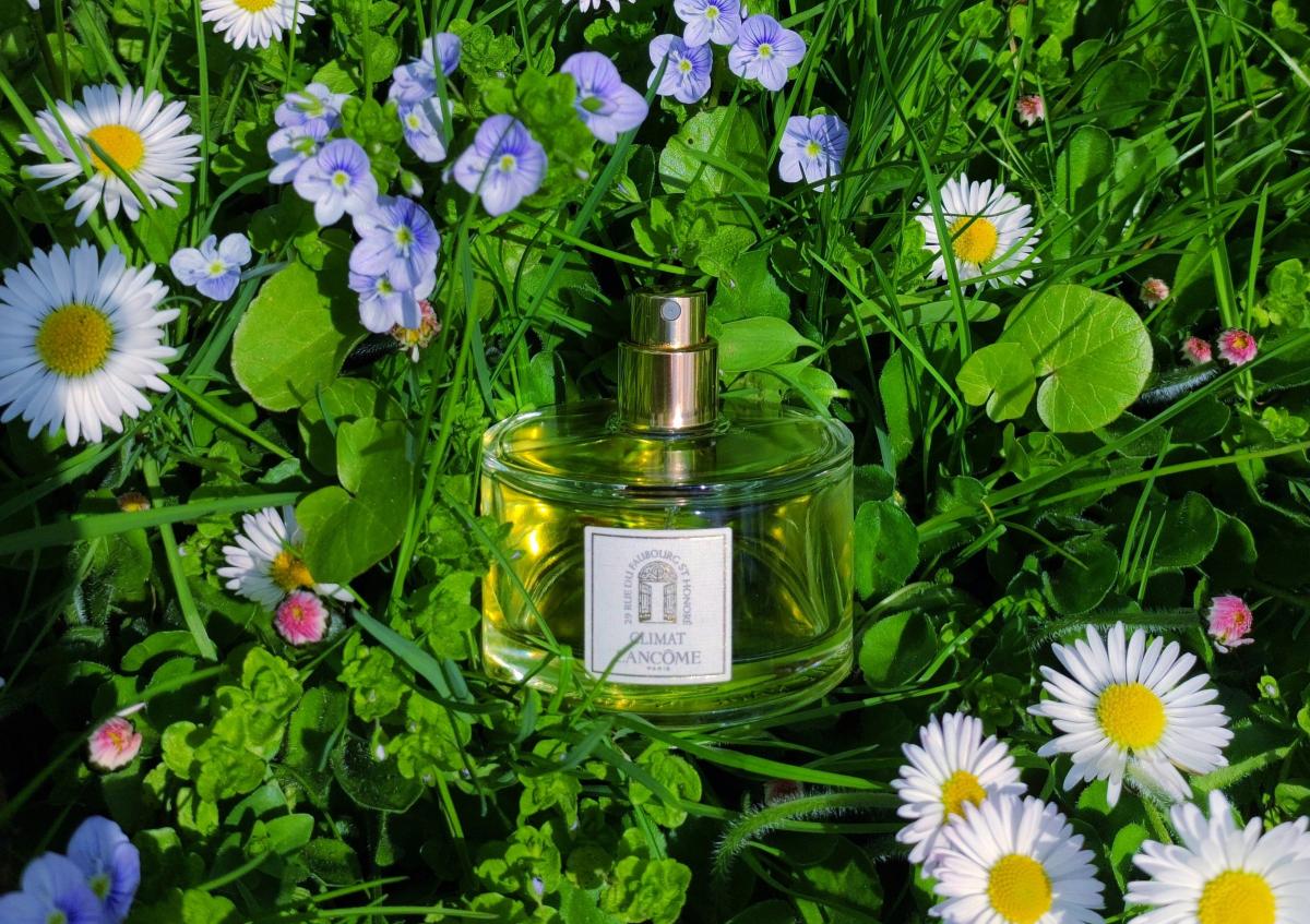 Lancome Climat Vintage