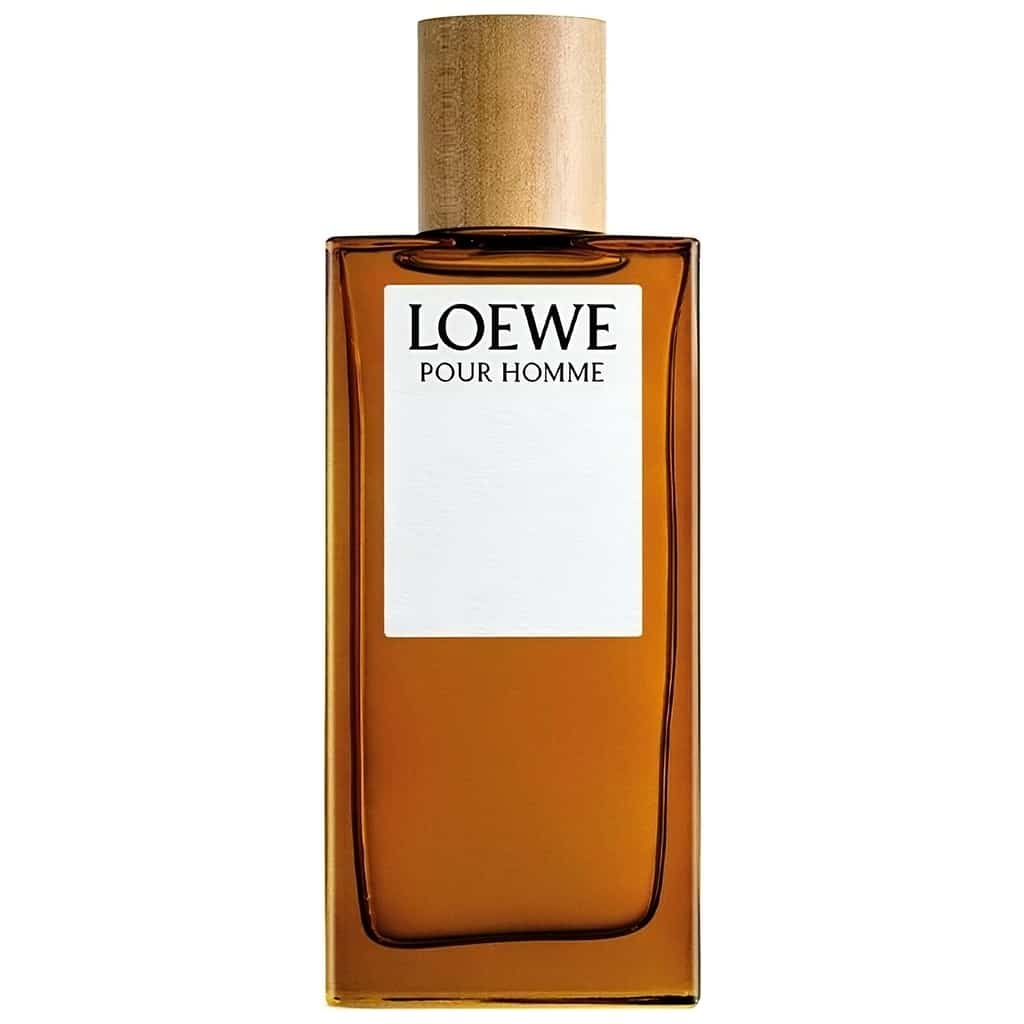 Loewe Loewe Pour Homme