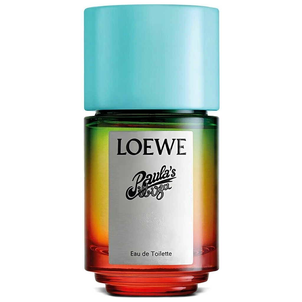 Loewe Paula S Ibiza