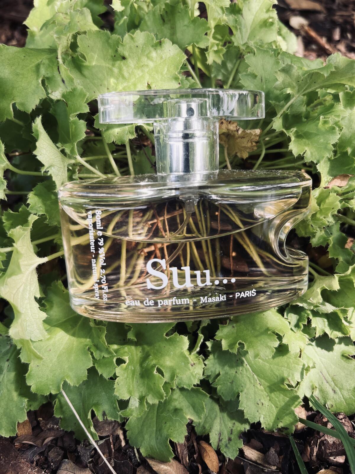 Masaki Matsushima Suu