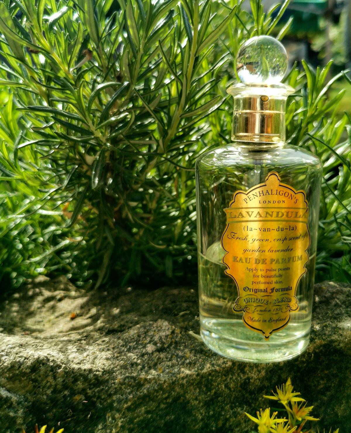 Penhaligon S Lavandula