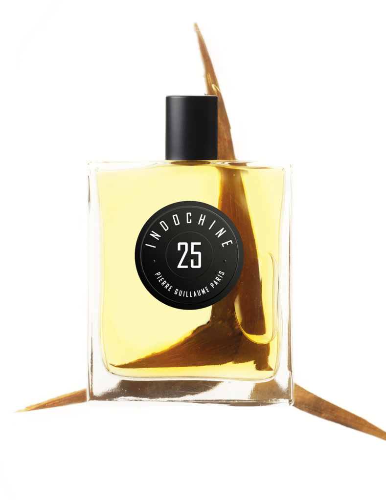 Pierre Guillaume Paris Indochine 25