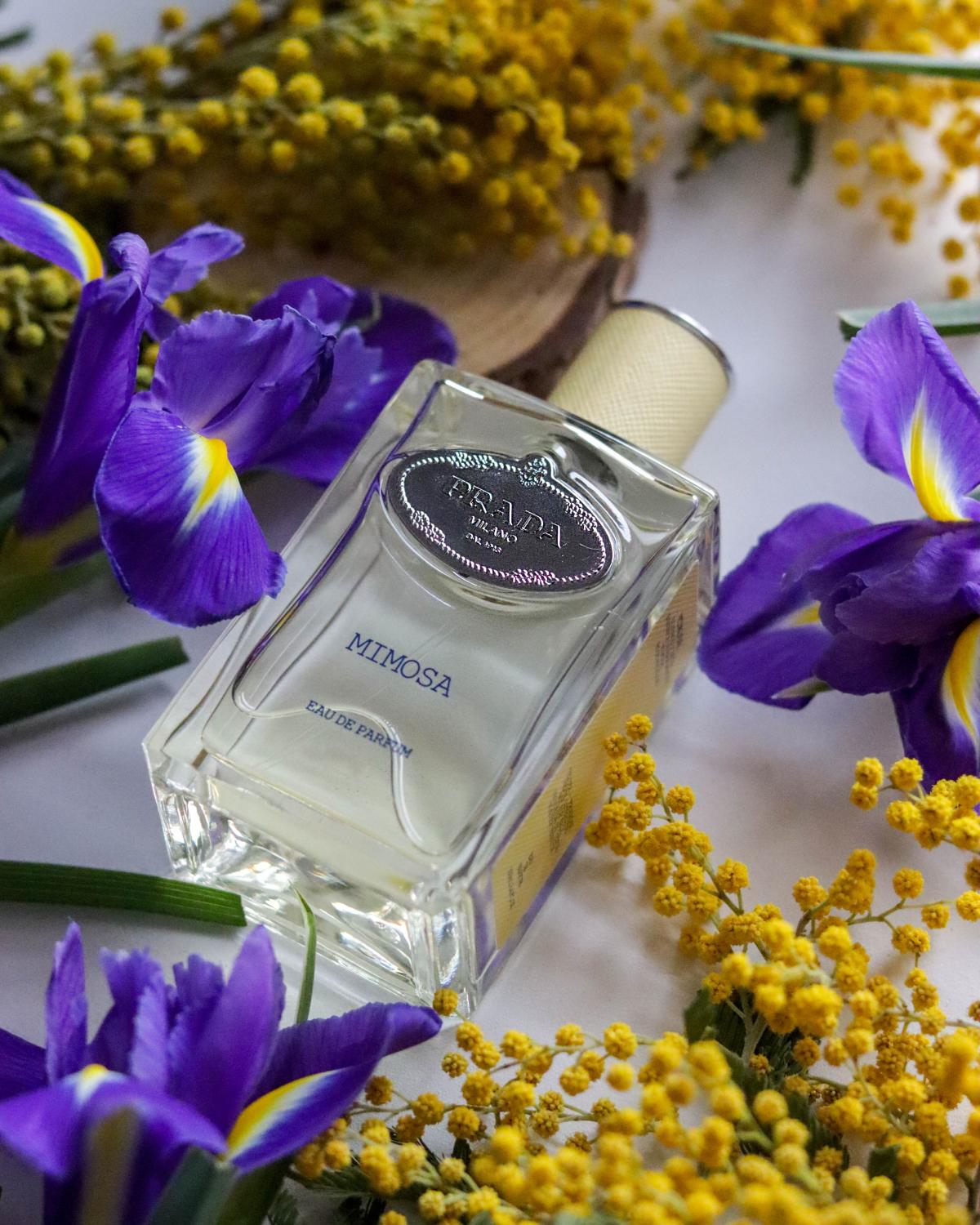 Prada Infusion De Mimosa