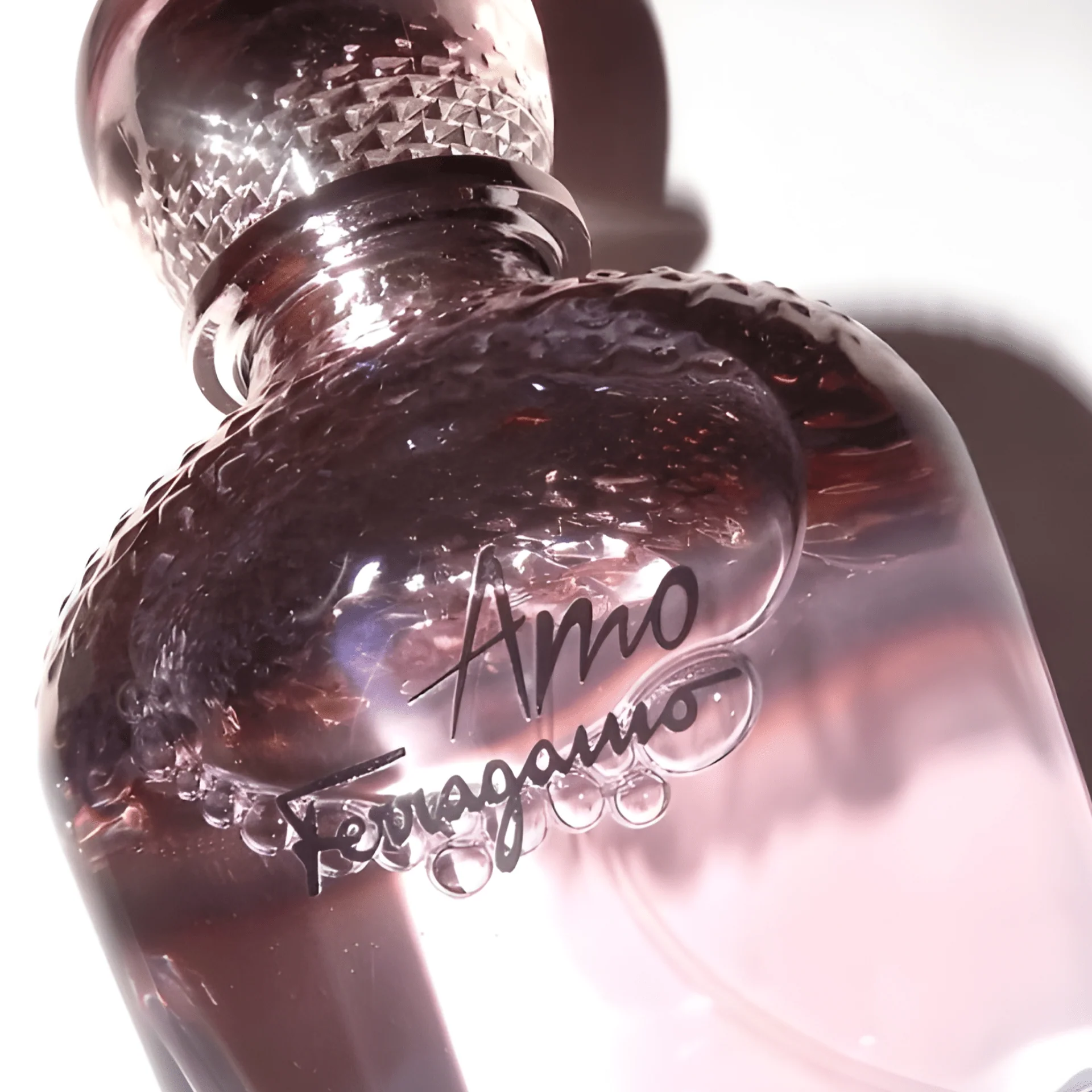 Salvatore Ferragamo Amo Ferragamo