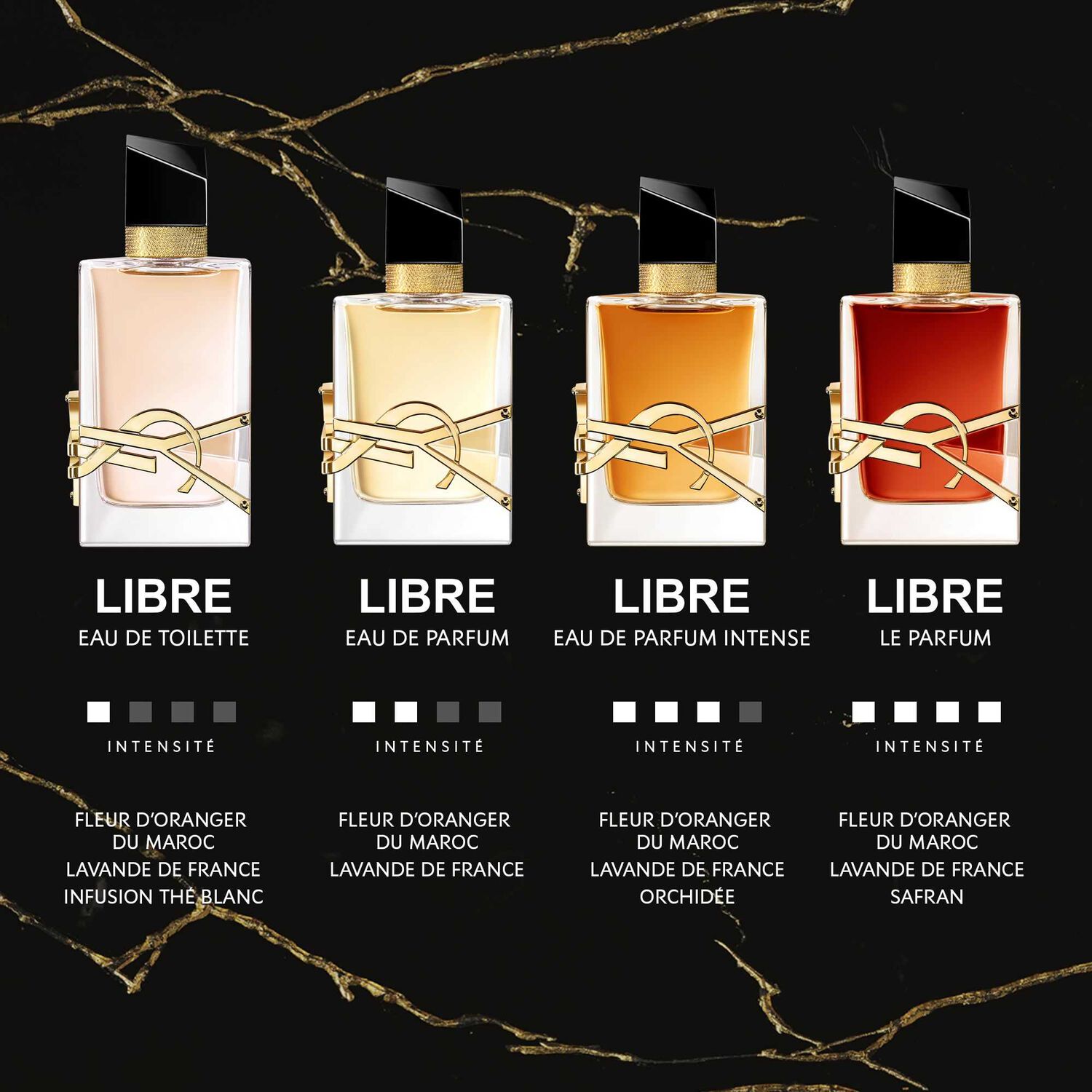 Yves Saint Laurent Libre