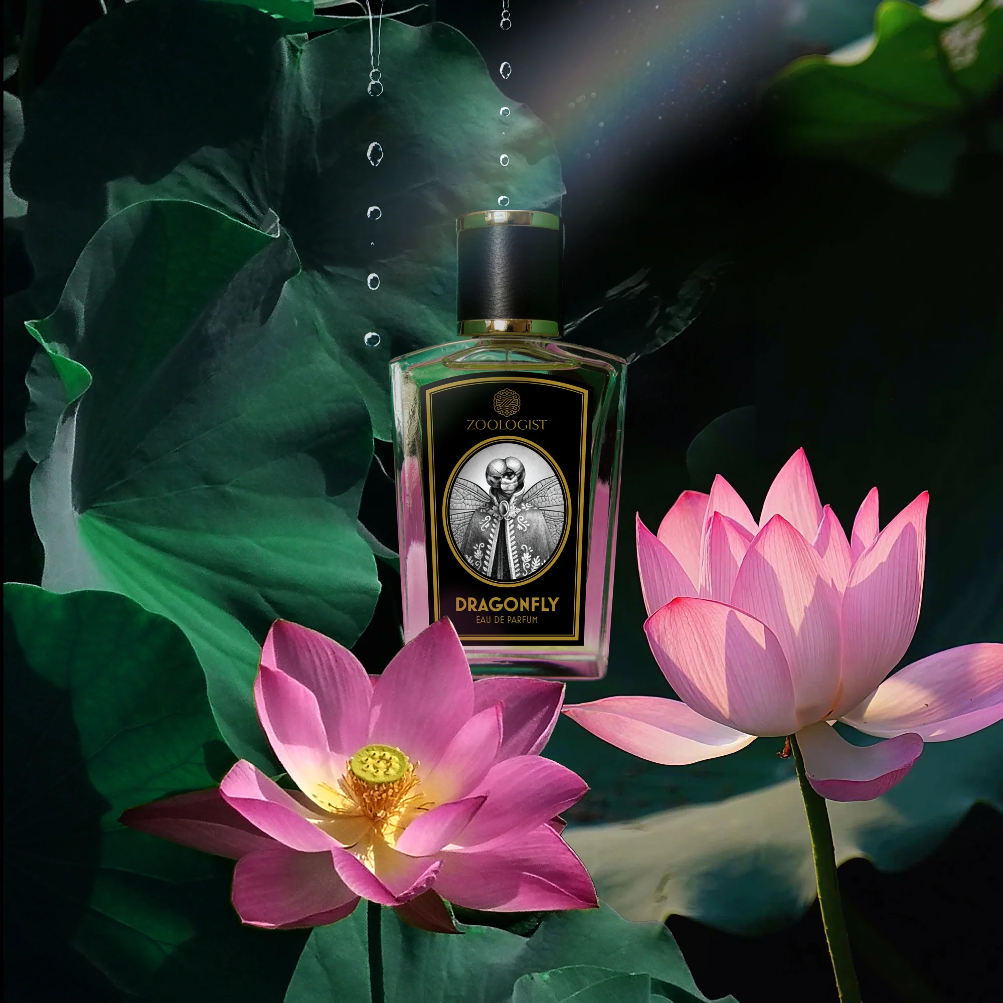 Zoologist Perfumes Dragonfly