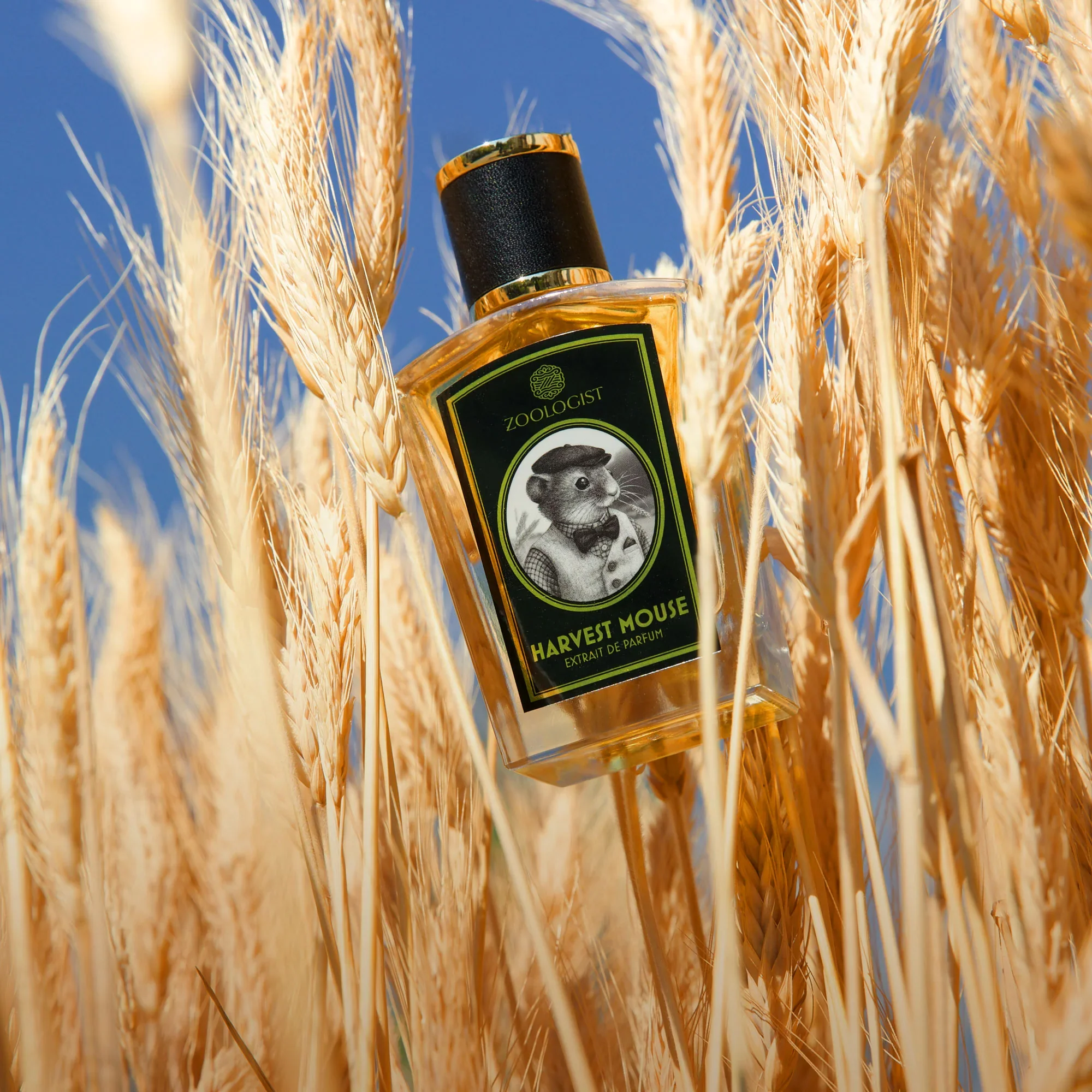 Zoologist Perfumes Harvest Mouse