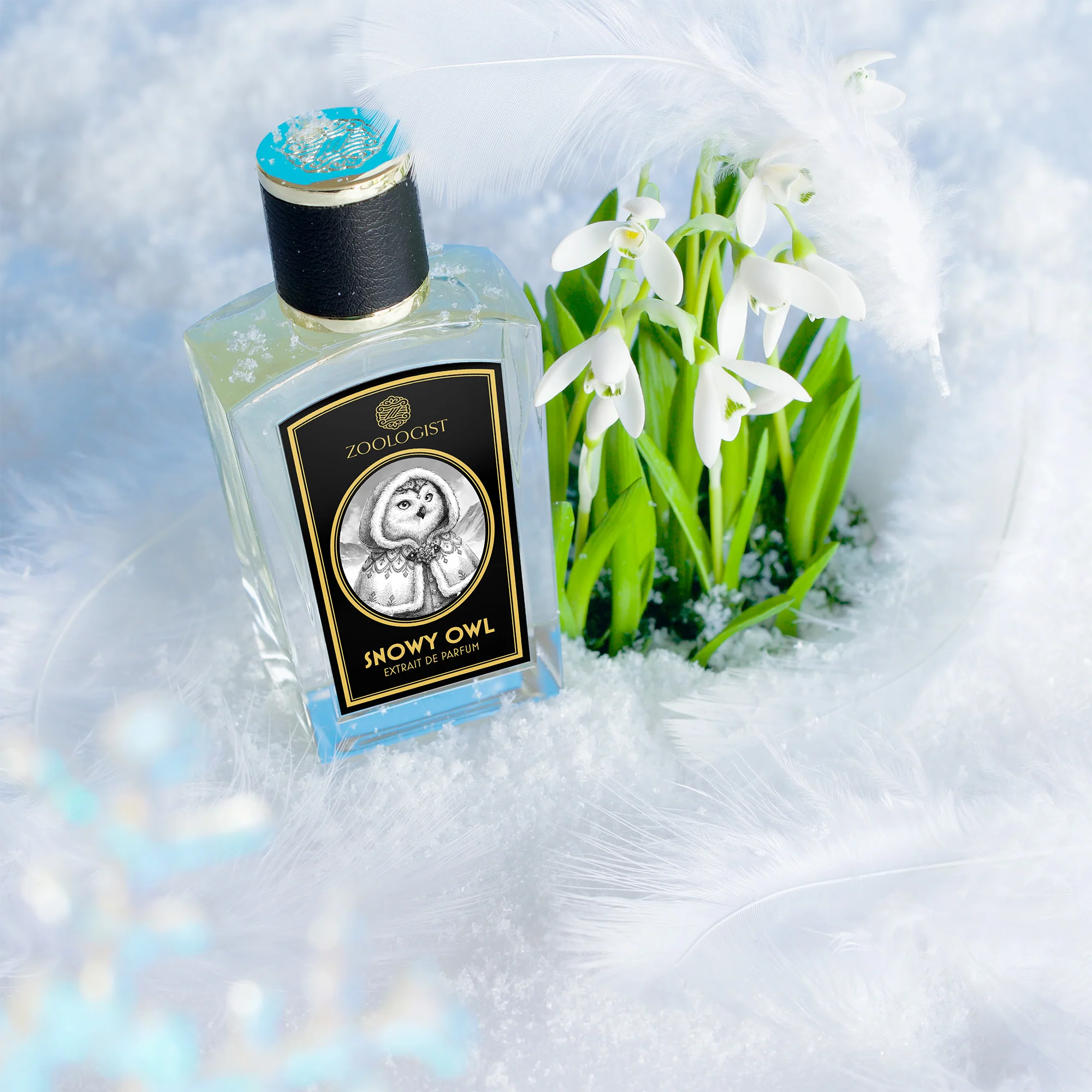 Zoologist Perfumes Snowy Owl
